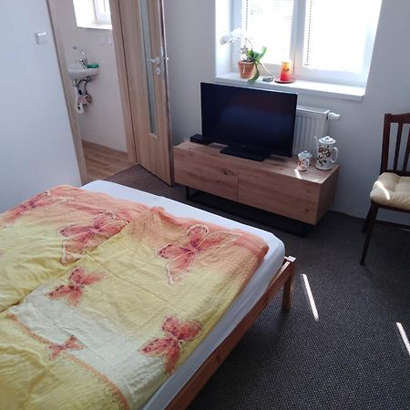 Ubytovani V Soukromi Libice Nad Cidlinou Libice nad Cidlinou Exterior foto